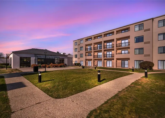 Comfort & - Buffalo Grove * Arlington Heights