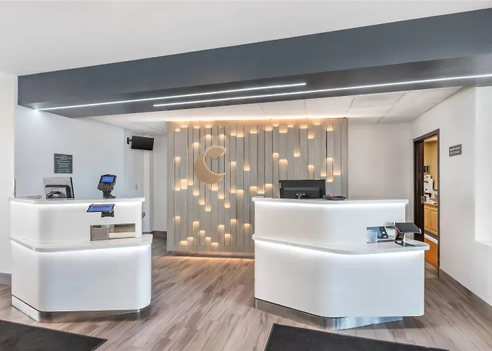Comfort & - Buffalo Grove